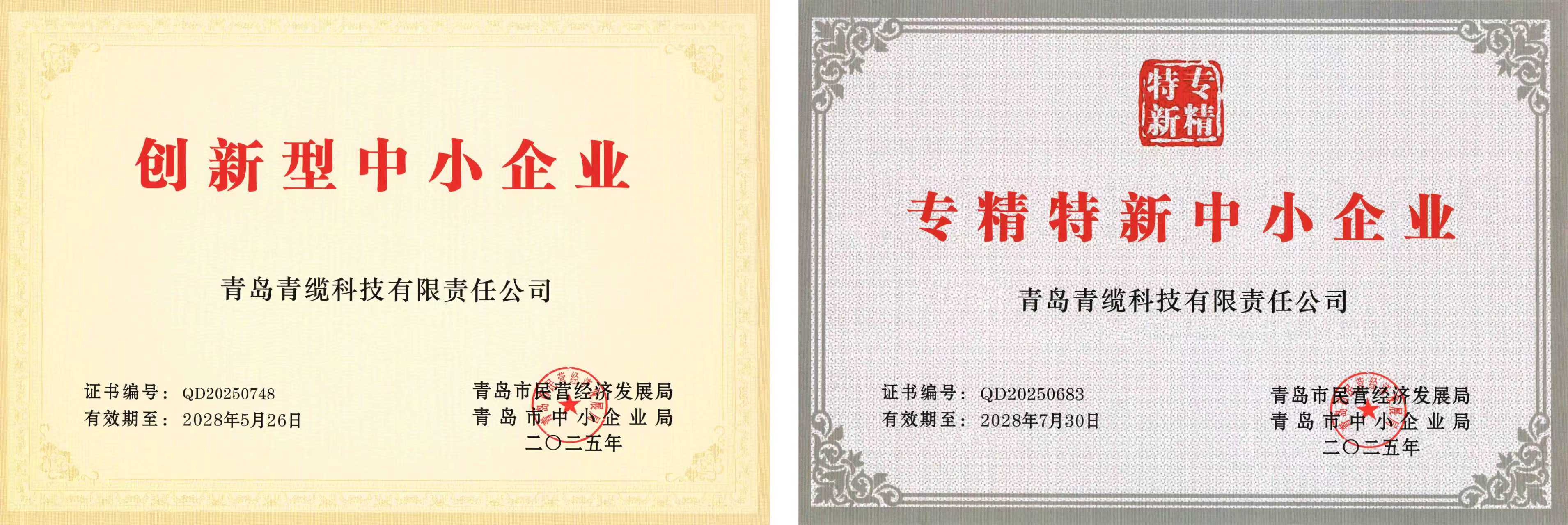 青纜獲評“創新型中小企業”并順利通過“專精特新中小企業”復評(圖1) 青纜獲評“創新型中小企業”并順利通過“專精特新中小企業”復評(圖1)